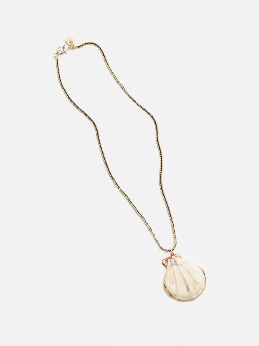 Mujer Mercules Collar Concha Blanca Y Cordon Negro
